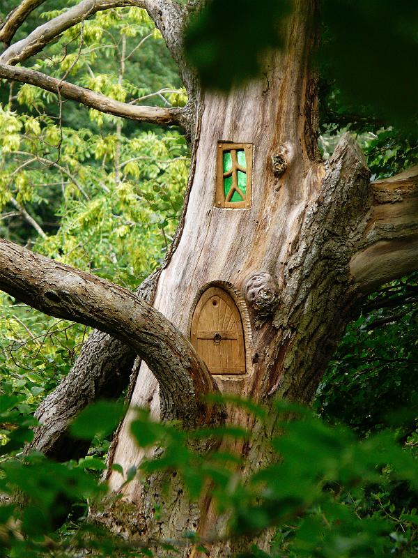 Fairies in Presmennan Wood.JPG